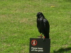 47-02-february-16th-2014