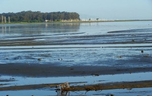 copyright_bw_beacham