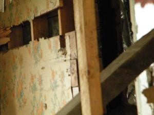 old-wallpaper-mary-shipman